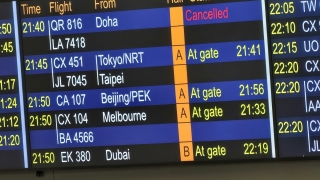 伊朗局勢-再有航班從迪拜抵港-特區政府-爭取周末航班預留位置予港人