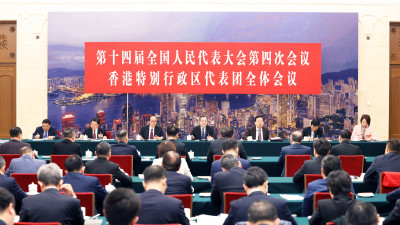 全國兩會---丁薛祥參加港區人大代表團審議-提出要加快推進由治及興