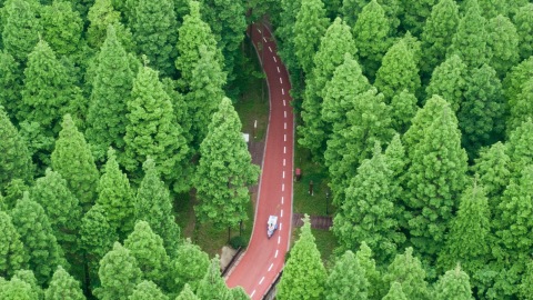 解局-生態環境法典誕生-為美麗中國鑄就法治基石