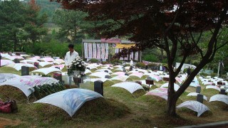 祥看-韓江-少年來了--往有太陽的地方走去