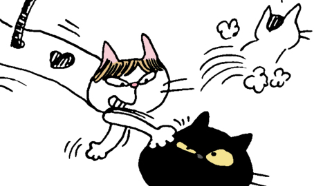 文地貓幸福哲學-難得假期