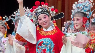 有片-黃梅戲韻傳香江