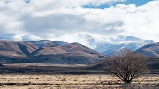 伯爵茶跡-平日練兵的慈孝-楊朱歌