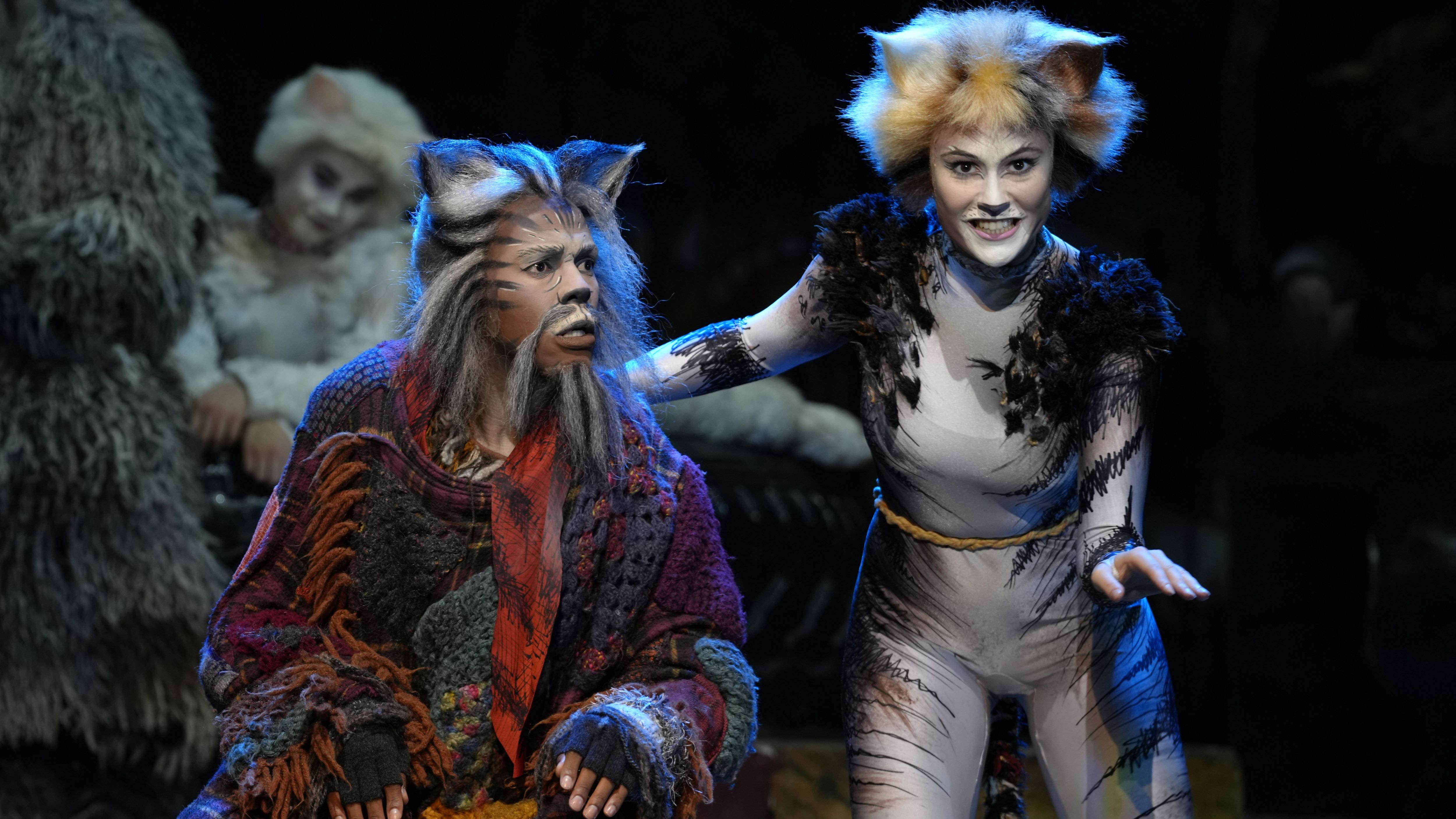 經典音樂劇《CATS》全球巡演8月到港 戲曲中心上演連場視聽盛宴