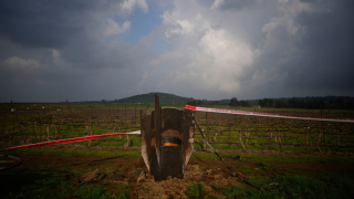 周末睇新聞-中東衝突衝擊全球經濟-製造業-失血--糧食生產-缺肥