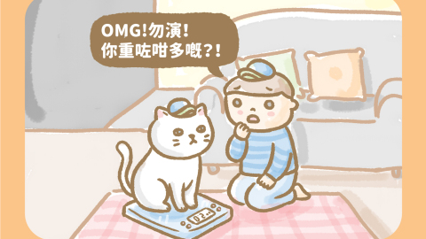 傭仔有心事-減肥策略