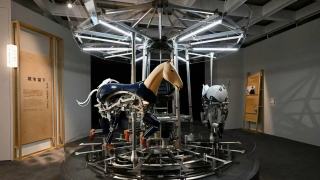 香港藝術館舉辦-當下--香港藝術展--匯聚19位本地藝術家呈現多元創作