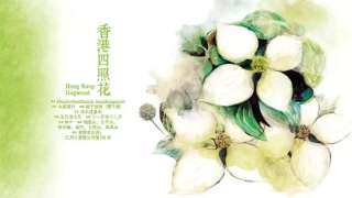 依附土地的自然故事-那些香港特有的原生植物