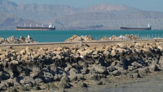 伊朗局勢-伊朗有意允許與日本相關船隻通行霍爾木茲海峽-雙方已展開磋商