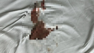 月經沾污火車床單事主指官方通報存在不實-疑遭鐵路員工謾罵