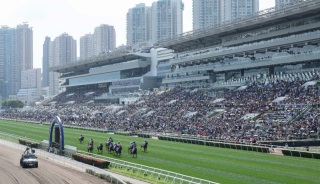 香港賽馬打吡大賽圓滿收官-馬壇新星破紀錄奪魁-入場逾7-2萬人創新高