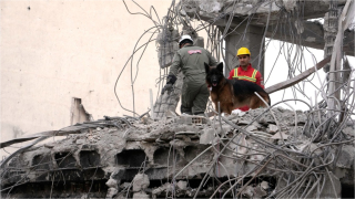 伊朗局勢-特區政府-提升伊朗及以色列外遊警示級別至黑色