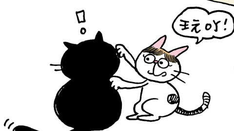 文地貓幸福哲學-E貓-VS-I貓