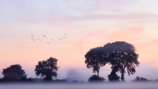 伯爵茶跡-鑿破渾沌的慨嘆-芒昧詞