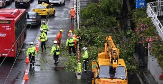 有片-廣東遇強對流天氣襲擊-廣州深圳等地強降雨下冰雹-樹木攔腰折斷