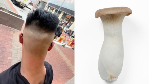 網民控訴荃灣髮型屋剷光後後腦頭髮形象盡毀-留言笑爆-照住杏鮑菇嚟剪