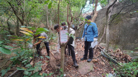 黃大仙山坡疑有人非法狩獵　漁護署接舉報檢3捕獸籠