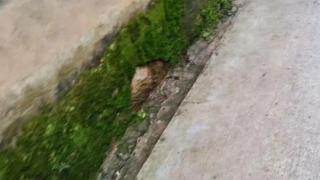 雲南15歲女生遭同班男同學殺害案開庭-家屬放棄賠償求判死刑