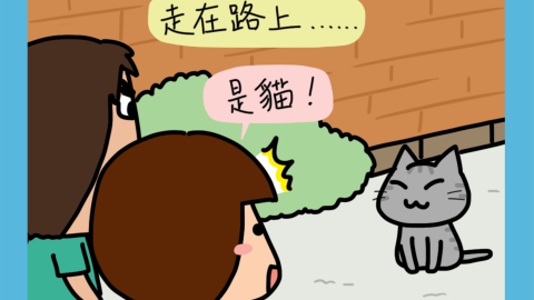 迷糊小窩-不認識