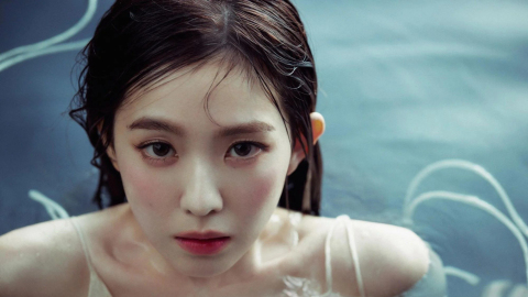 亞熱帶中年-一直都是Irene的Fattest-Fan