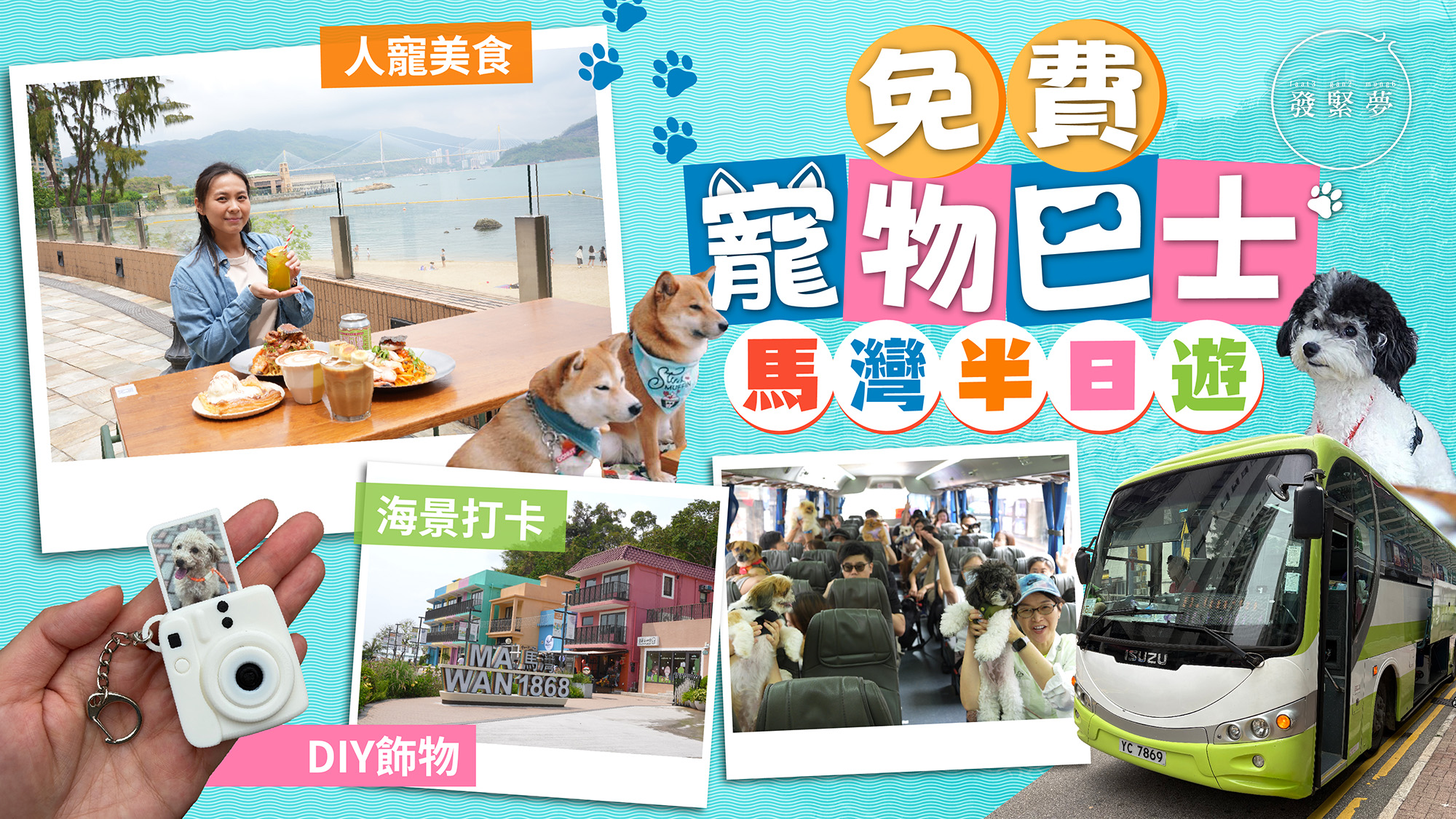 夢生活-免費寵物巴士馬灣半日遊-市區出發-帶毛孩打卡玩沙-海景cafe歎海膽意粉