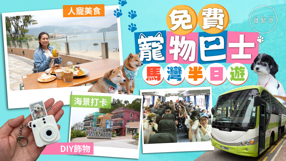 夢生活-免費寵物巴士馬灣半日遊-市區出發-帶毛孩打卡玩沙-海景cafe歎海膽意粉