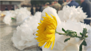 當代中國-中國少數民族過清明節嗎