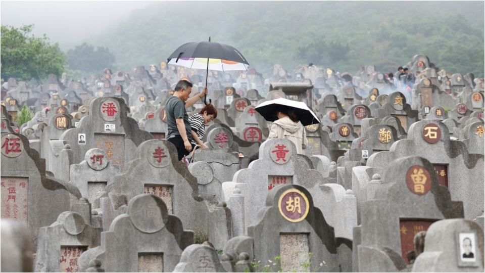 多圖-清明時節雨紛紛-大批市民外出掃墓拜祭先人