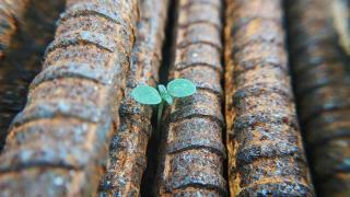 薦書-在恐懼蔓延的時代-為何我們仍需要學會盼望