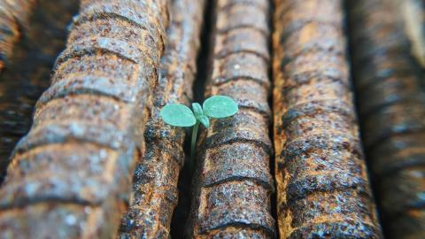 薦書-在恐懼蔓延的時代-為何我們仍需要學會盼望