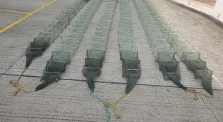 非法捕魚-漁護署控3名內地人士涉用蛇籠捕魚-明日提堂