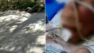 河南焦作村民村道私拉繩索-13歲男孩踩車遭繩割喉氣管食管全斷裂