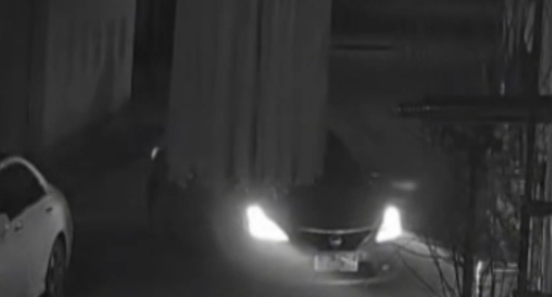 有片｜河北邯鄲土地糾紛釀血案　侄子駕車撞死76歲大伯被拘