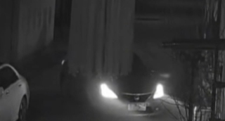 有片-河北邯鄲土地糾紛釀血案-侄子駕車撞死76歲大伯被拘