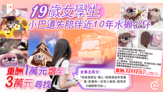 專題--30000天價尋小巴遺失陪伴近10年水獺公仔--大整蠱定行騙-主人現身揭原因