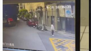 上海女子舉報虐貓群聊反遭-人肉--全家信息洩露氣病入ICU-已向警方報案