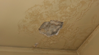 當局推出調查滲水檢測新程序-食環署-冀加快業主維修