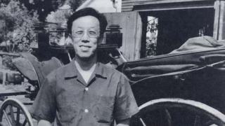 薦書-在世界中書寫中國--王蒙的文學與視野