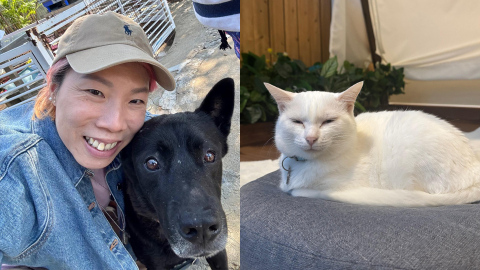 夢醒了-夢妮妲身心靈專欄-萬物之愛-動物傳心