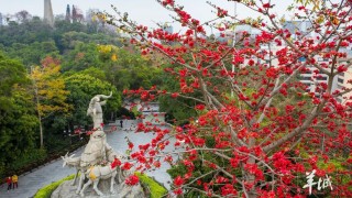 大美嶺南--五一-睇粵超行越秀