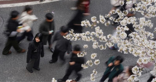 日本少子化嚴重擬削250間私立大學-財務省批部分大學水平堪憂