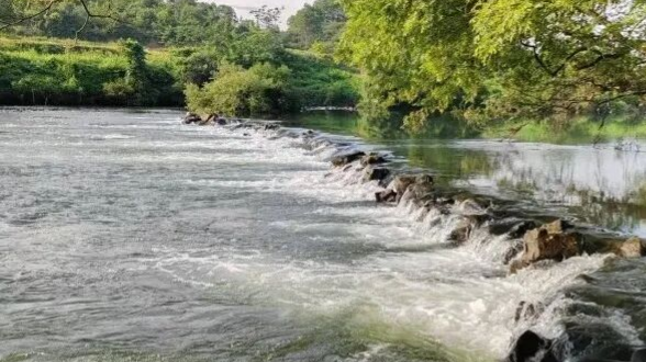 湖南一鎮政府公務員釣魚溺亡牽出多幹部違紀舉報-涉長期賭博及虛假報賬