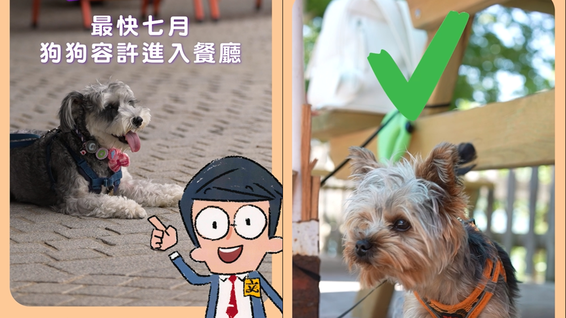 有片｜立法會首次推出短片　講解狗隻進入食肆新規例