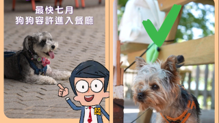 有片-立法會首次推出短片短片-講解狗隻進入食肆新規例