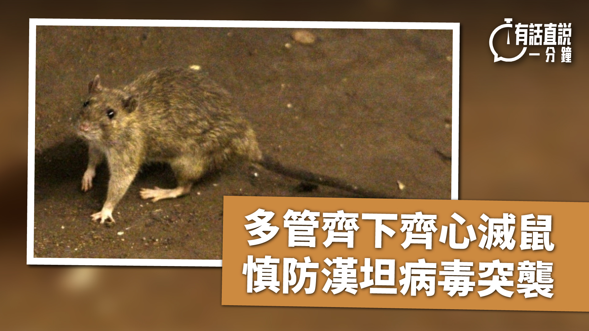 有話直說-多管齊下齊心滅鼠-慎防漢坦病毒突襲