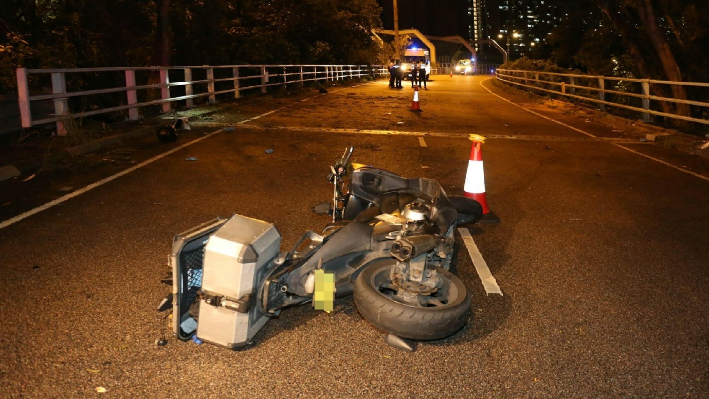 大埔電單車疑收掣不及撞向塌樹-鐵騎士頭部重創送院搶救後不治
