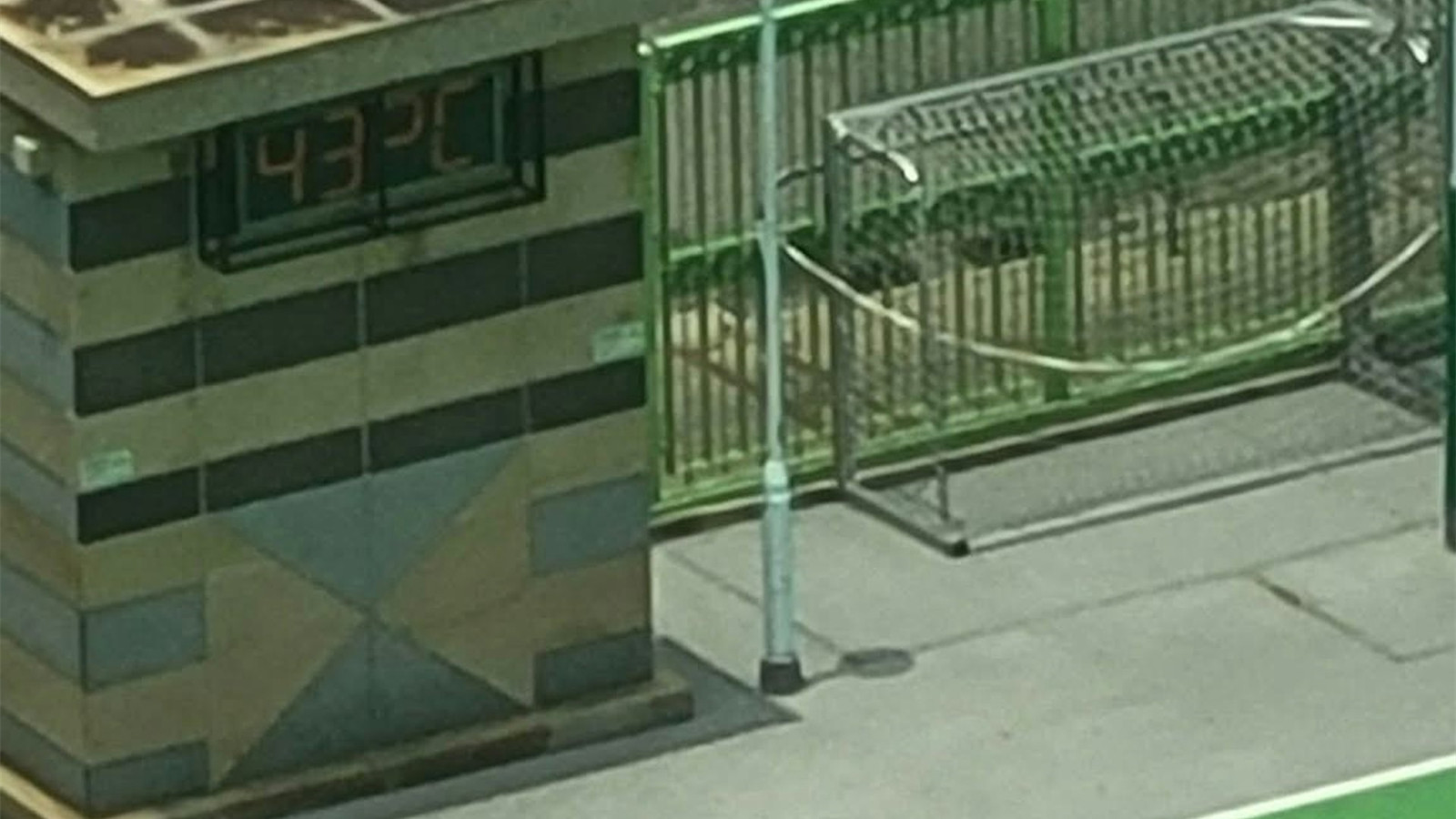 天文台錄34-1度創入夏最熱紀錄-上水球場驚見43度
