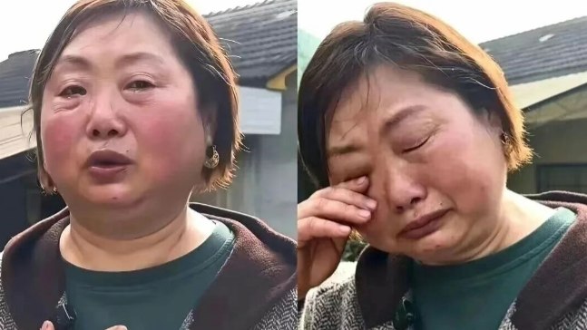 湖南抗洪救災村支書戴-金耳環-遭網暴-網安局-涉事人員被處罰