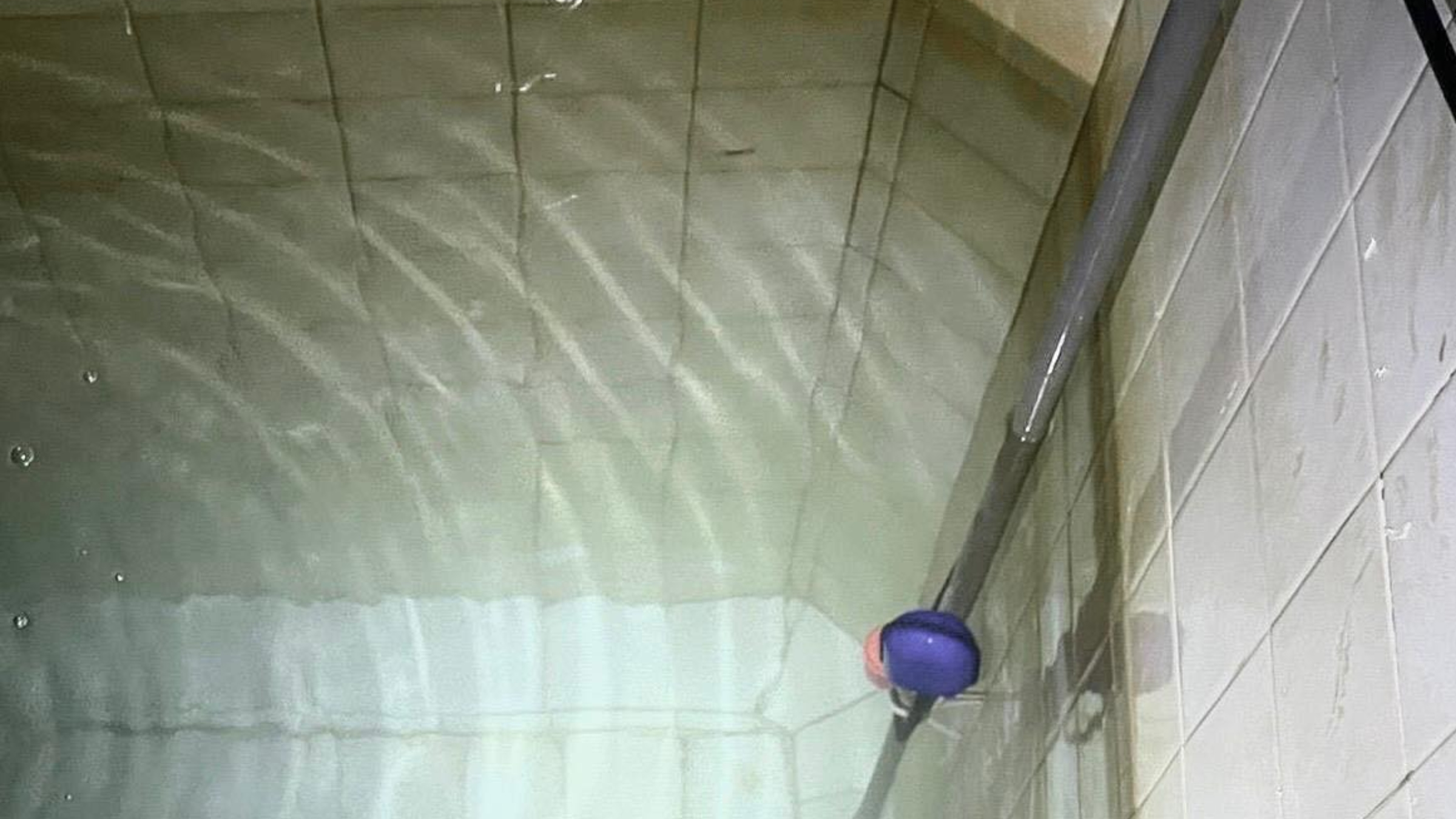 粉嶺部分屋苑昨日水質一度混濁--水務署相信與水管內沉積物揚起有關