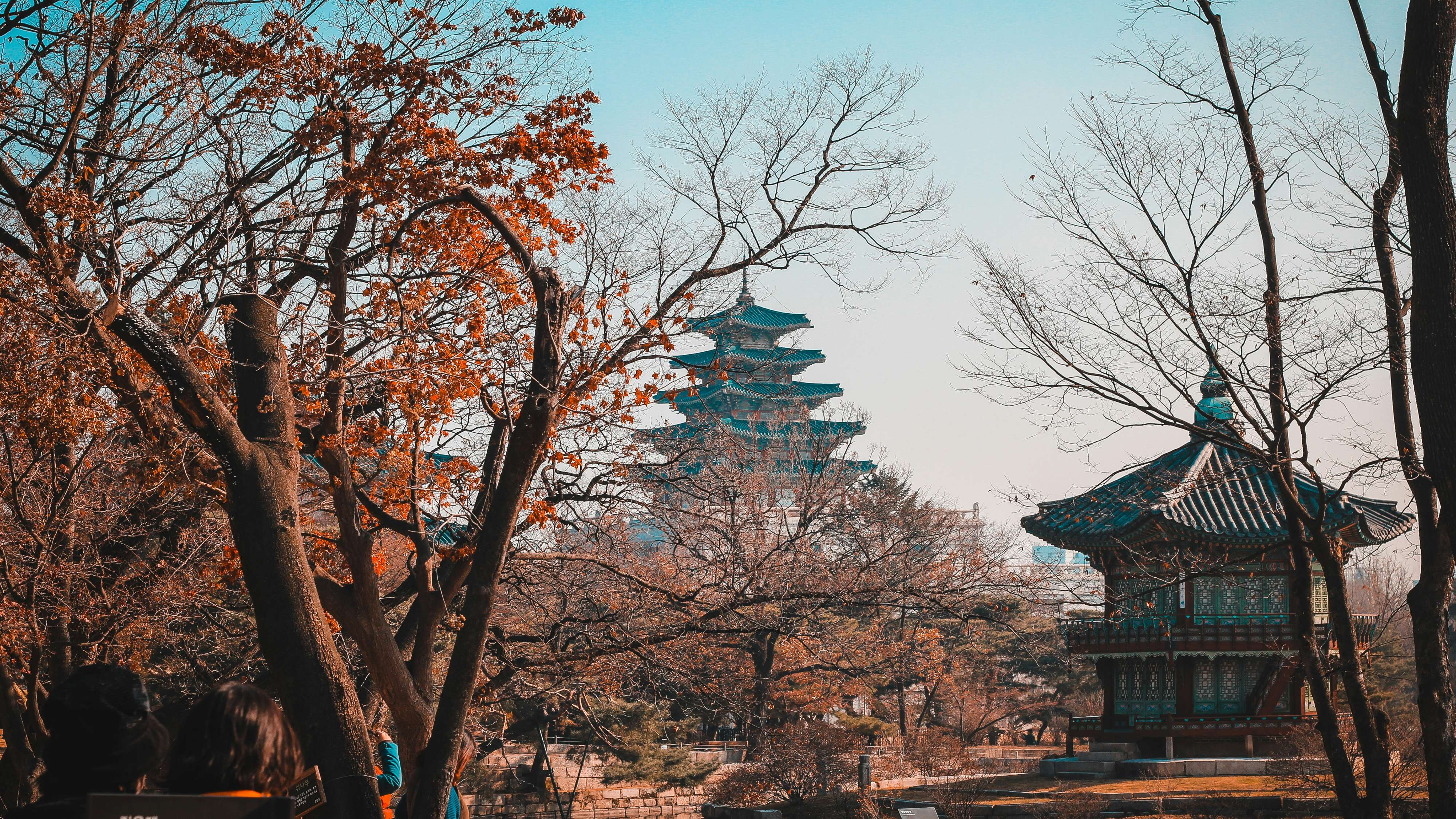 薦書-夾在大國之間-朝鮮王朝如何以外交求存